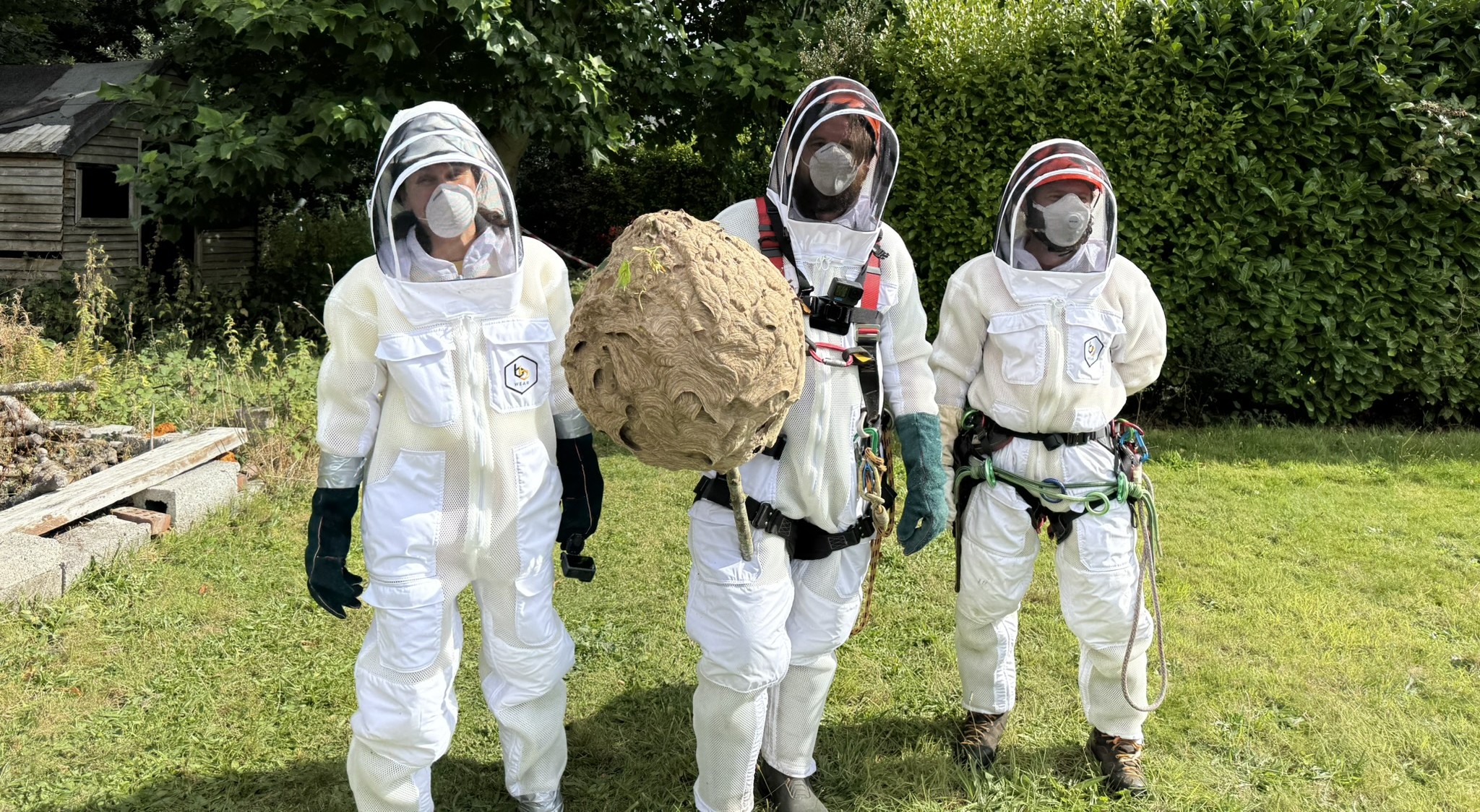 NPWS rangers, and a tree surgeon, wearing protective suits and masks hold aloft a large Asian hornet nest that has just been removed.